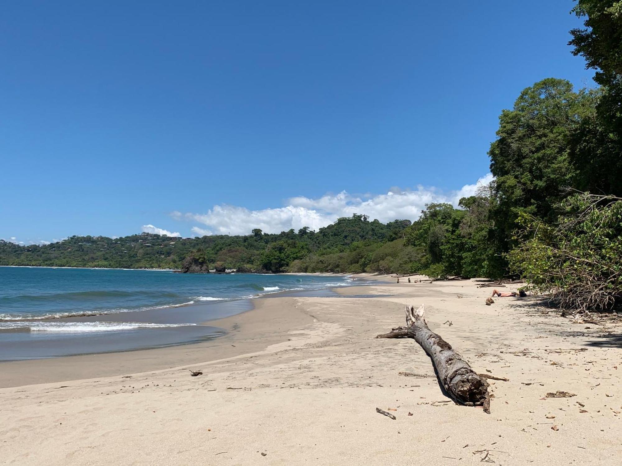 Hotel Playa Espadilla & Gardens Manuel Antonio Exteriör bild